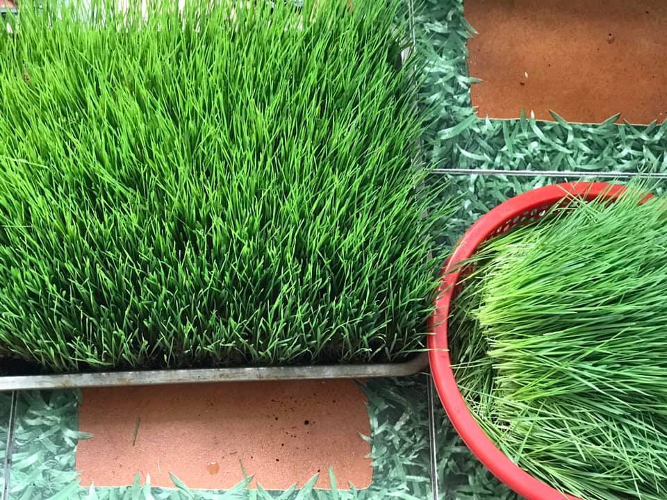 185058711 1612332875625864 23542443643275645 N